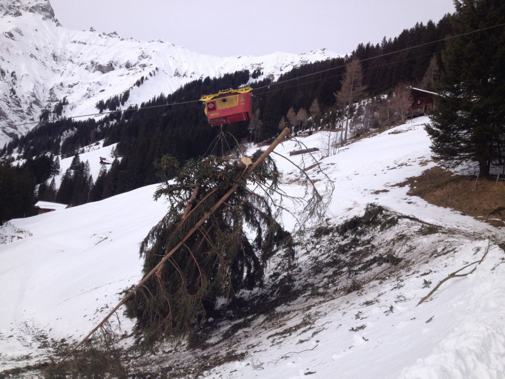 Oester Holz GmbH