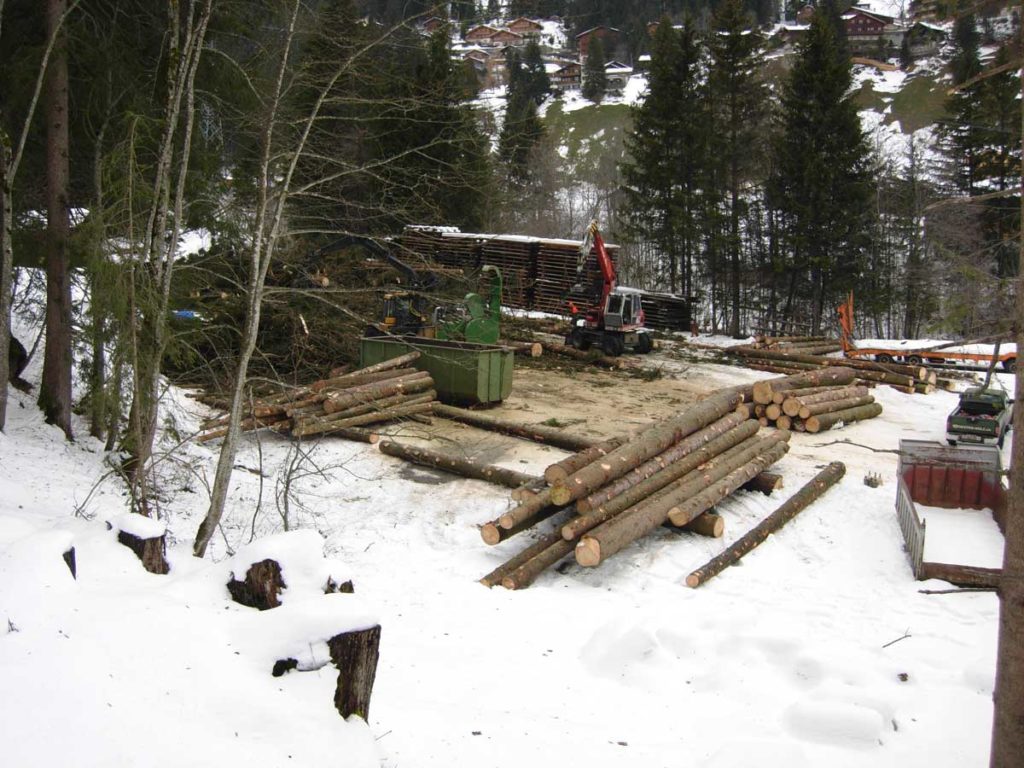 Oester Holz GmbH