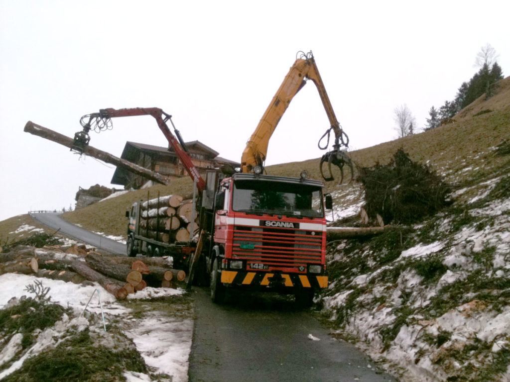 Oester Holz GmbH
